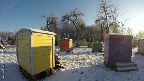Multicolored beehives in snowy garden on sunny winter morning, 4K time lapse