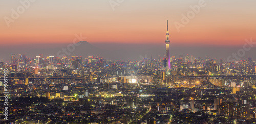 Tokyo city view and mountain fuji..