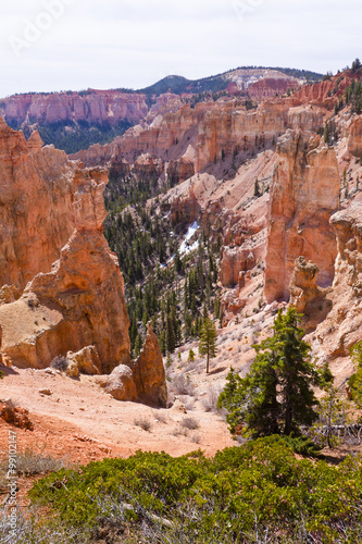 the Sandstone formations of bryce canyon