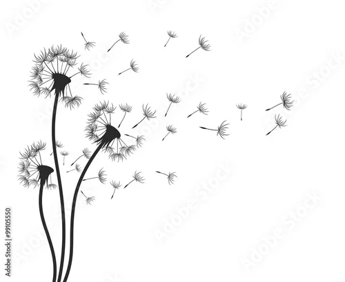 Naklejka na ścianę Mniszek lekarski.