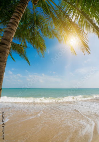 Tropical beach with coconut trees