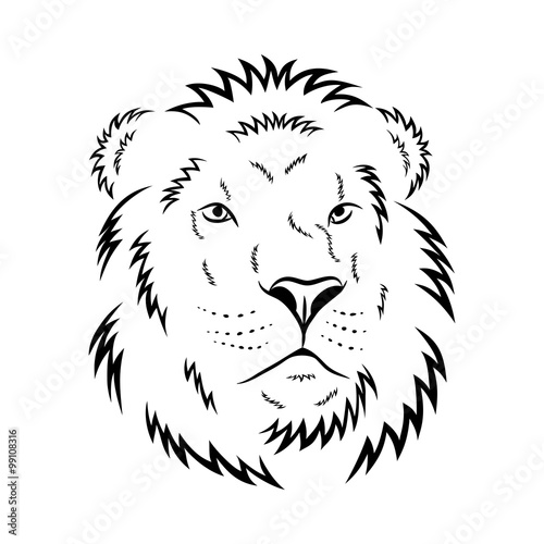 Lion head - vector illustration