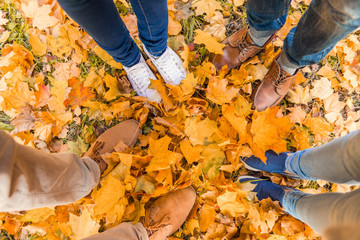 Students in autumn park