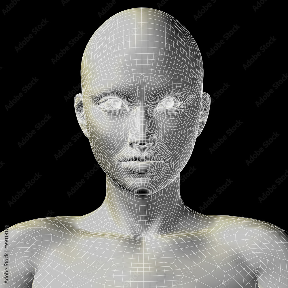 Conceptual 3D wireframe human female or woman face or head Stock Illustration | Adobe Stock