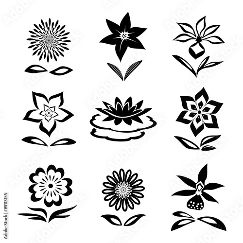 Flower set. Chamomile, lily, orchid, water-lily. Black silhouettes on white background.  Isolated symbols of flowers and leaves. Vector