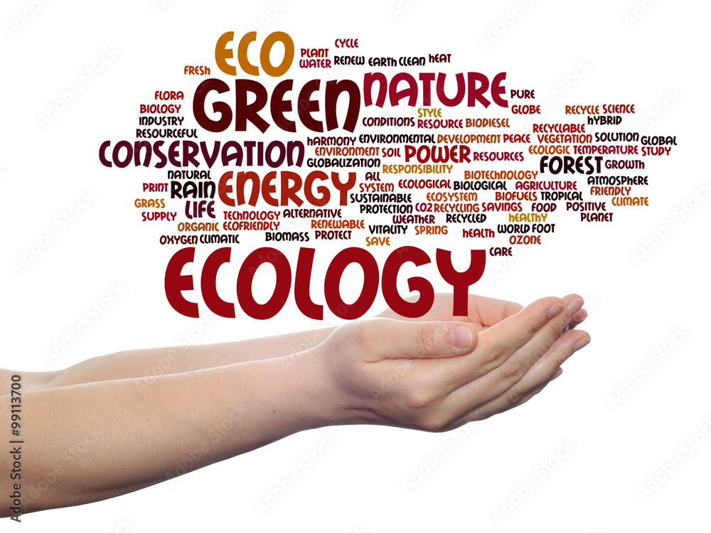 Conceptual ecology word cloud isolated Conceptual ecology word cloud isolated