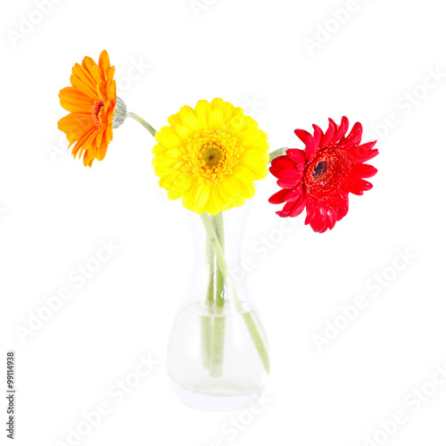 Orange, red and yellow gerbera in the glass photo