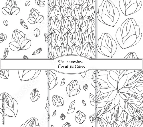 set of stock vector seamless doodle floral pattern. black and wh