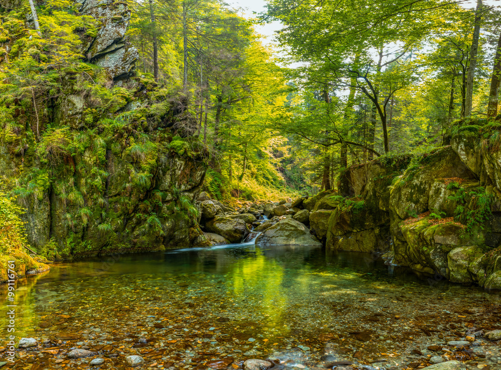 Obraz premium Relaxing oasis - An oasis of relaxation in the mountains - Fagaras mountains, Saratii river, Sibiu county, Romania, 830m - 18frame