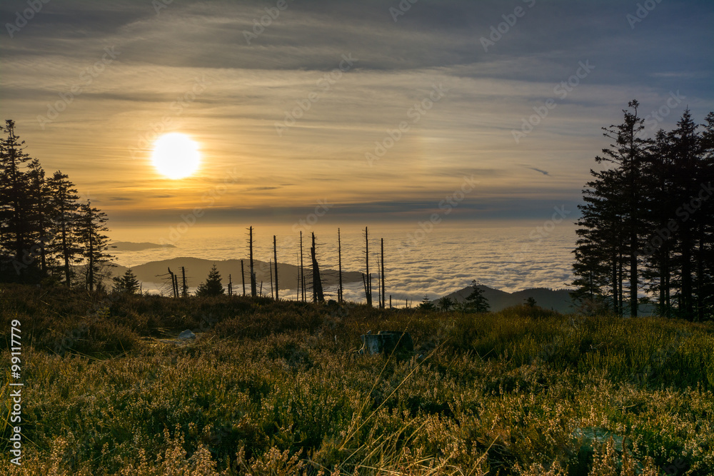 Fototapeta premium Schwarzwald - Hornisgrinde