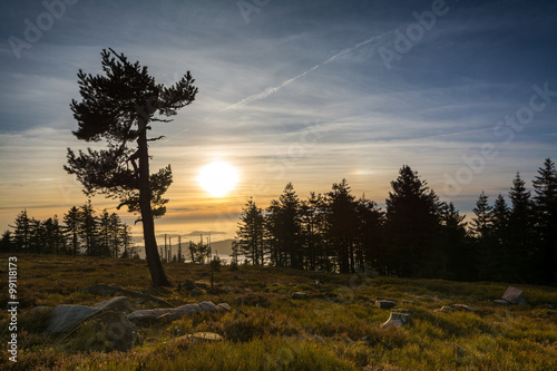 Schwarzwald - Hornisgrinde