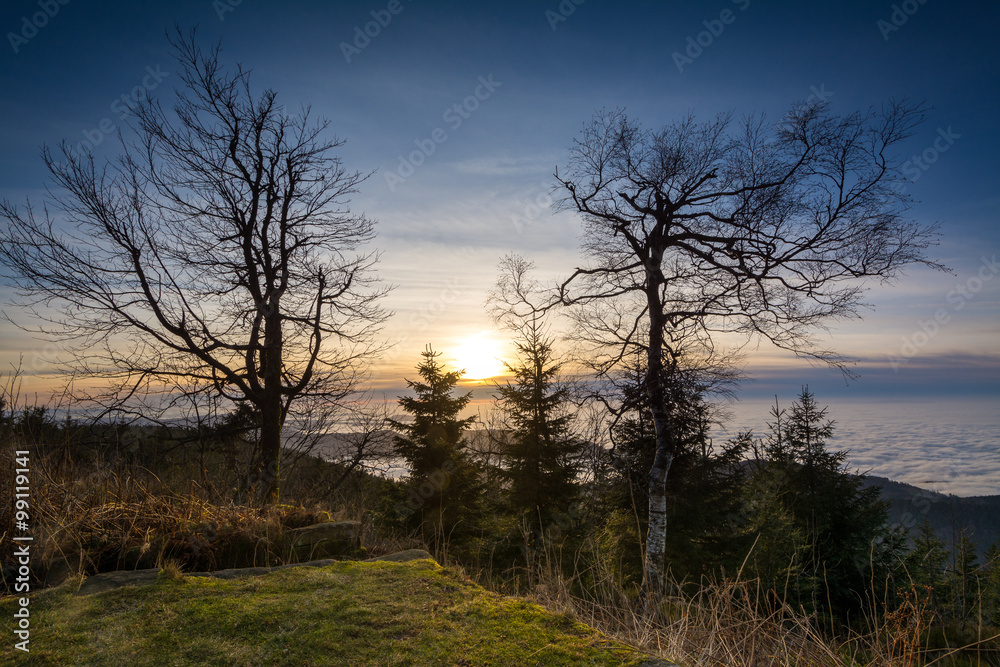 Schwarzwald - Hornisgrinde