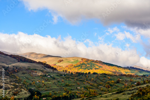Autumn background in woods. Horizontal view of a clearing, top-s