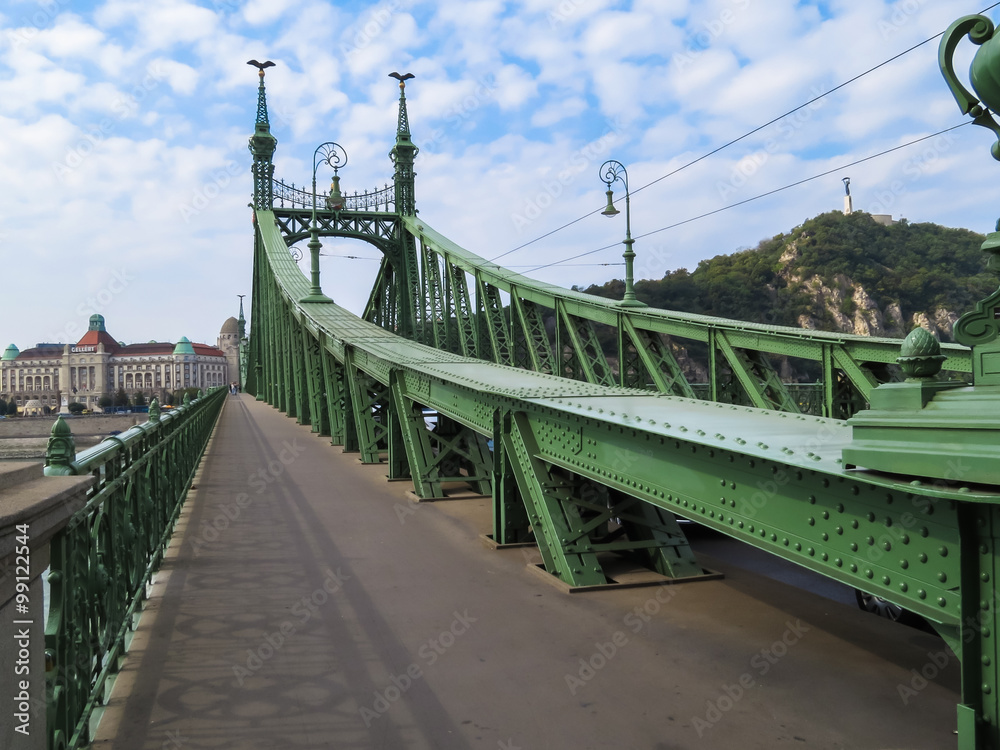 Obraz premium Liberty Bridge, Budapest, Hungary