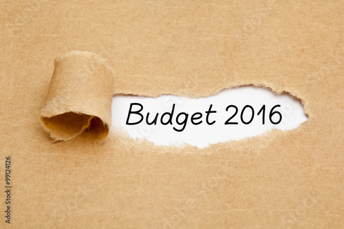Budget Year 2016 Torn Paper Concept