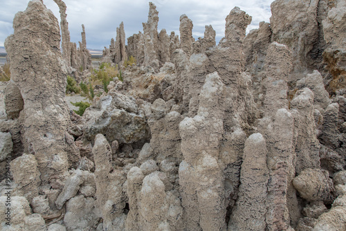 Mono Lake, Lavadome, Kalktuff photo