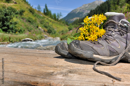 fleurs sur chaussures de randonnée posées sur planche devant paysage