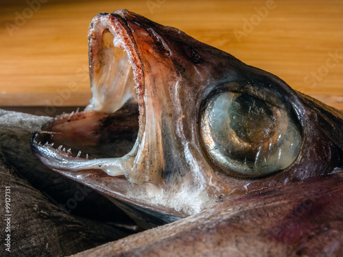 the hooked frozen fish with an open mouth