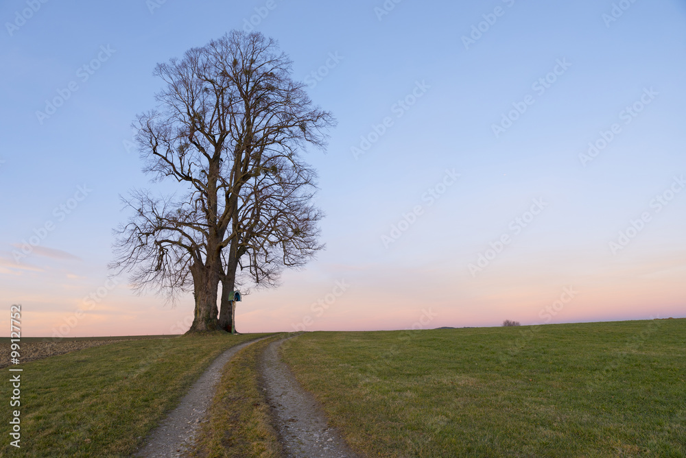 Obraz premium Einsamer Baum mit Wegkreuz, Weg in der Abenddämmerung