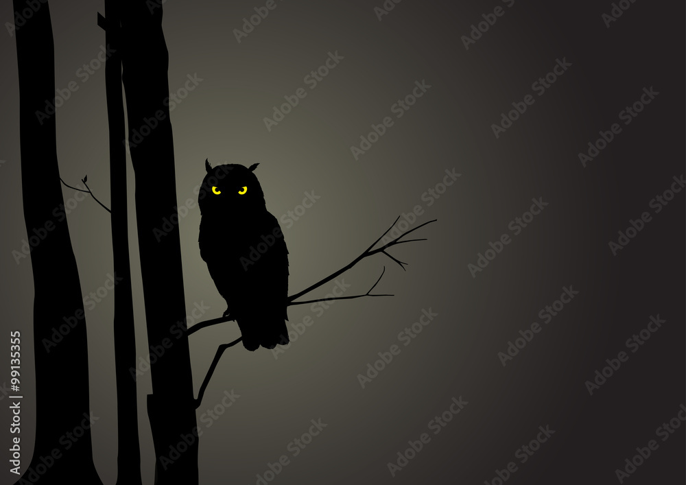 Fototapeta premium Silhouette Illustration Of An Owl