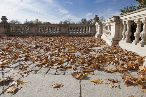 Background with balustrade and dry autumn leaves