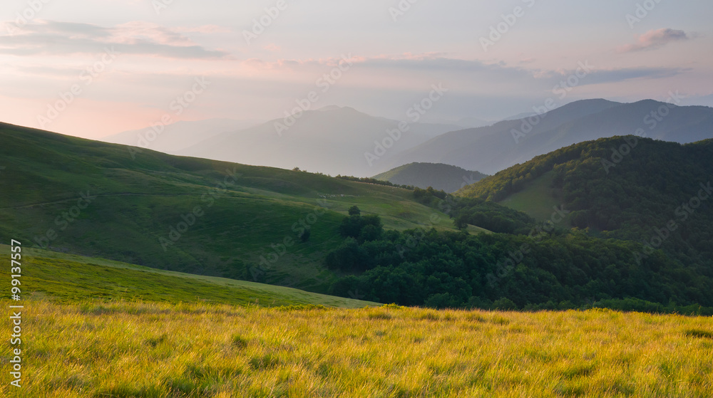 Colorful summer landscape in the Carpathian mountains