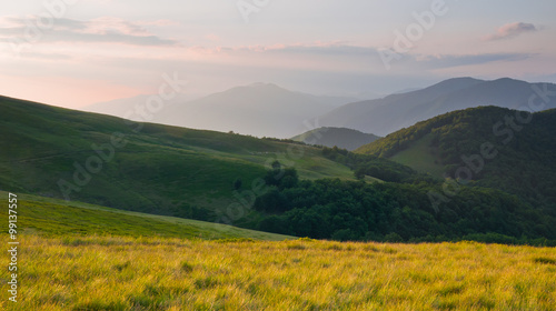 Fototapeta Naklejka Na Ścianę i Meble -  Colorful summer landscape in the Carpathian mountains