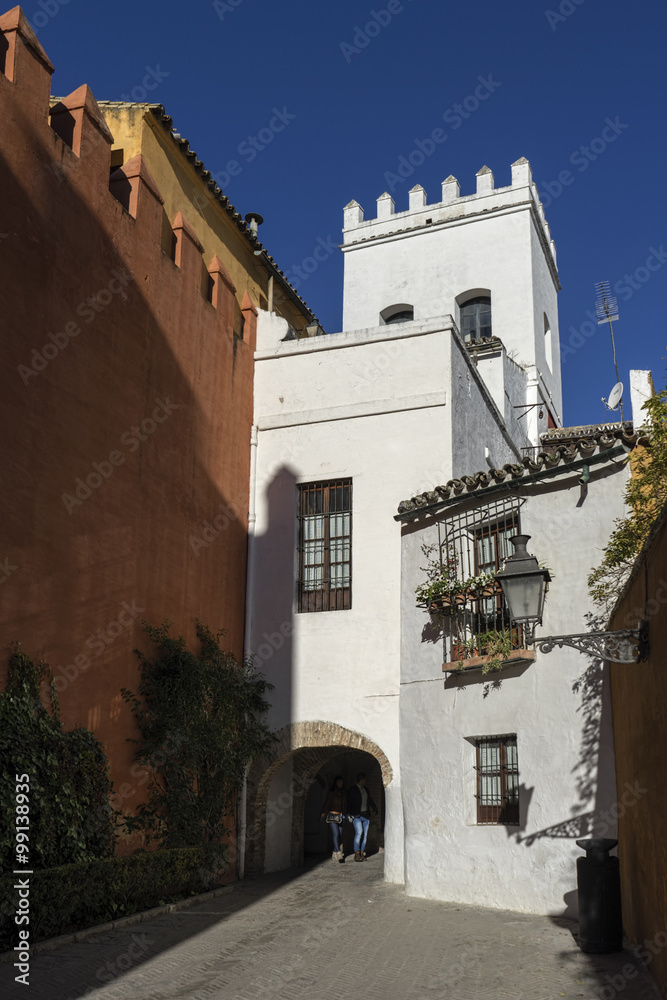 antiguas calles de la judería de Sevilla y hoy llamado barrio de Santacruz