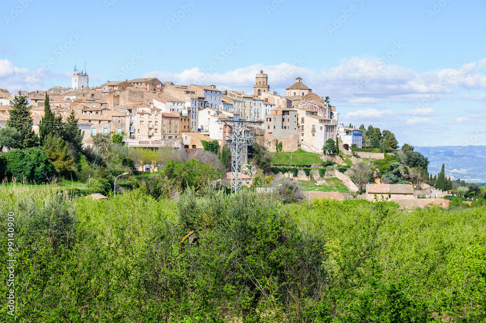 The view of the village in Tivissa, Spain The view of the village in Tivissa, Spain