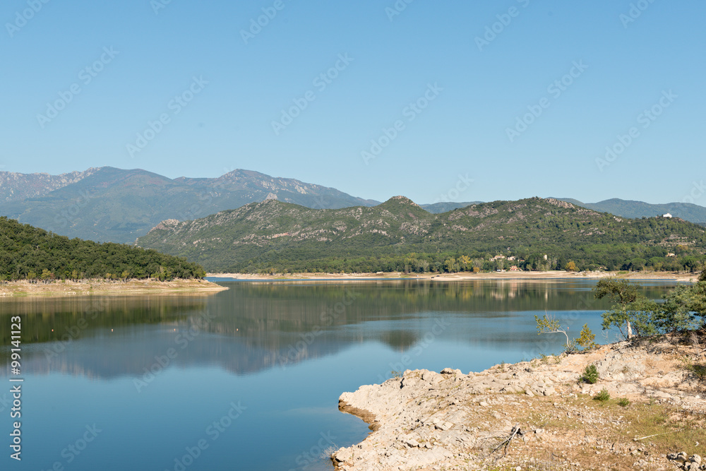 Fototapeta premium Swamp DARNIUS-BOADELLA (Girona)