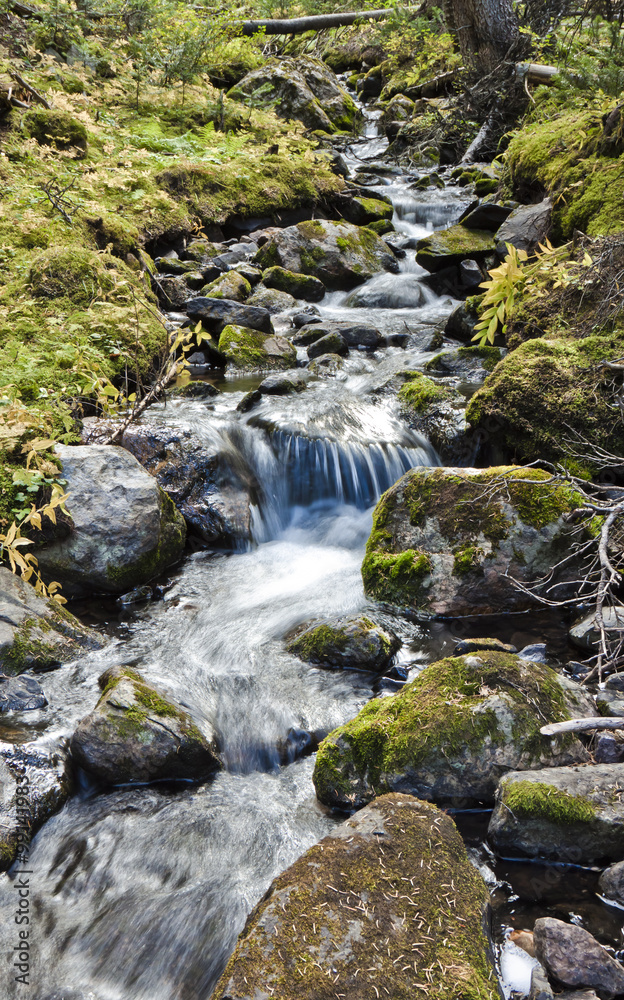 Flowing Water through Wet Landscape