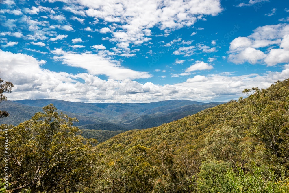 High Country, Foresty Valley, Victoria, Australia High Country, Foresty Valley, Victoria, Australia