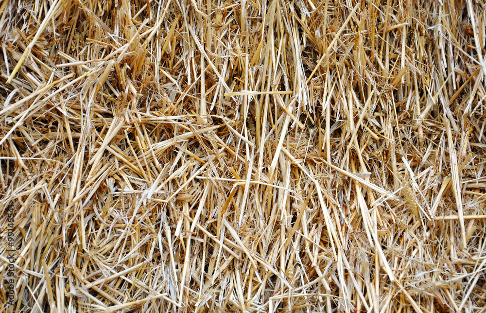 background with dry straw for your design background with dry straw for your design