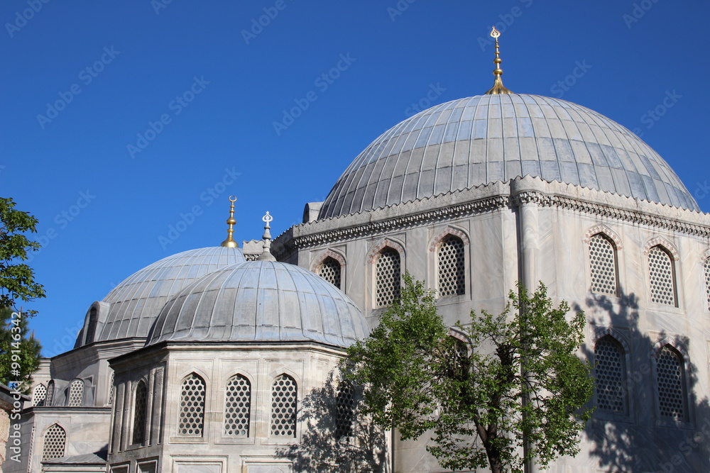 Mosque's dome at Istanbul in Turkey