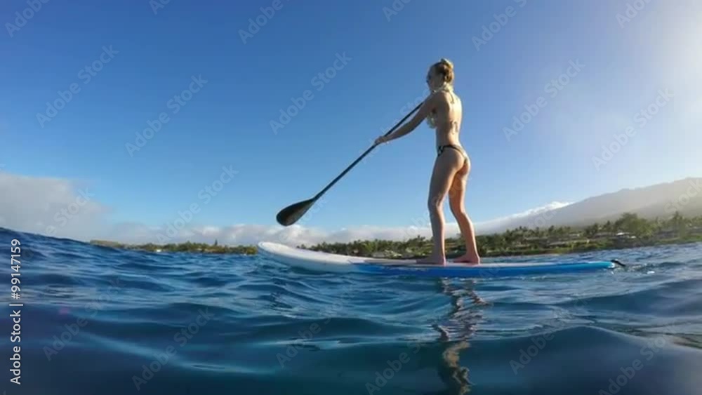 Young Attractive Woman Stand Up Paddle Boarding in Blue Ocean