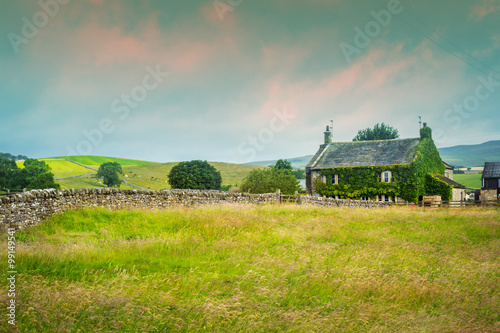Beautiful, old English cottage with climbing roses, Yorkshire, England