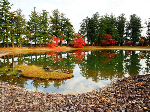 世界遺産　平泉　毛越寺　紅葉 photo