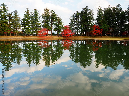 世界遺産　平泉　毛越寺　紅葉 photo