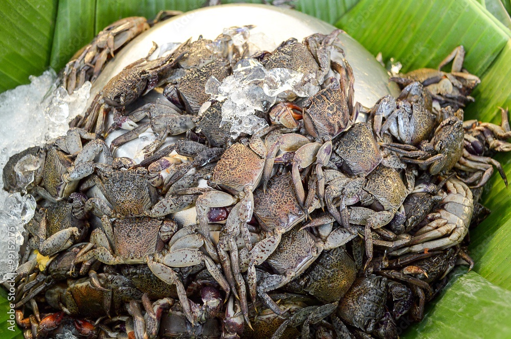 Salted crab Thailand raw food
