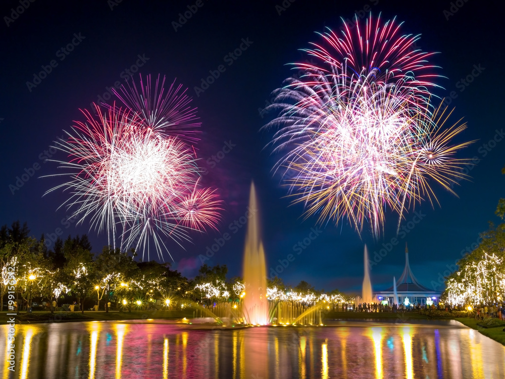 Colorful holiday fireworks in the night sky