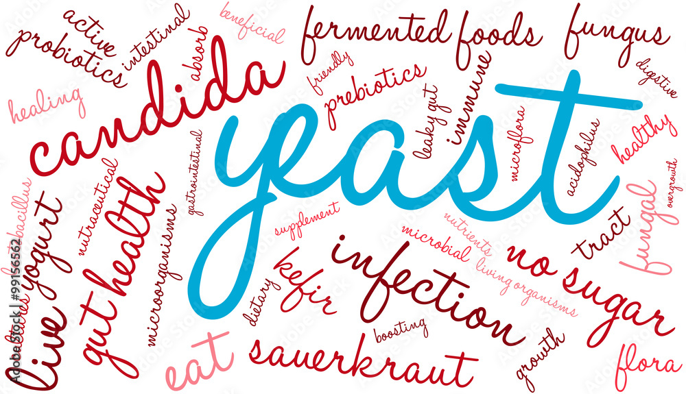 Yeast Infection Word Cloud