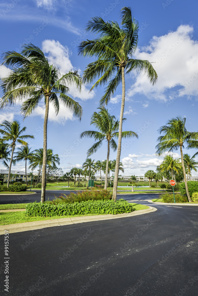 Gated community condominiums in tropics Gated community condominiums in tropics