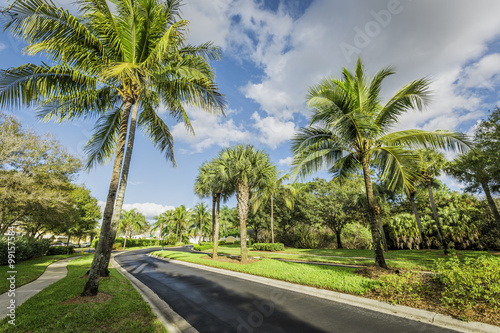 Gated community road in tropics