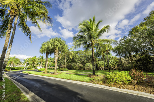 Gated community road in tropics, Florida