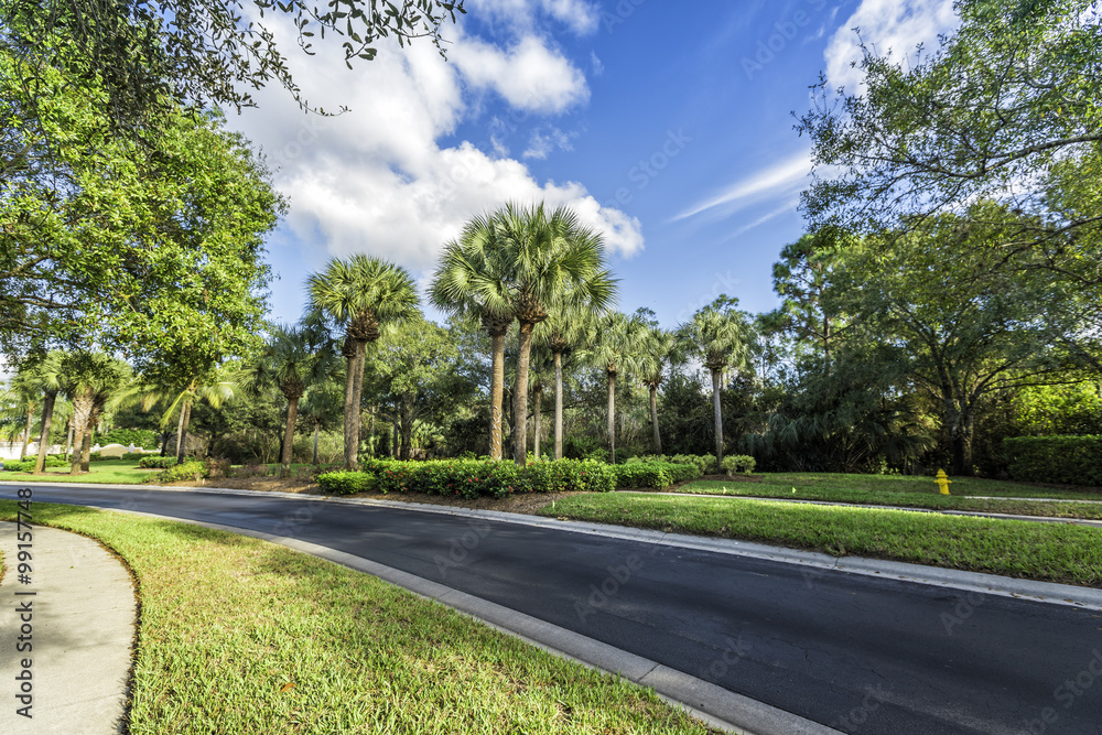 Gated community curvy road in tropics Gated community curvy road in tropics