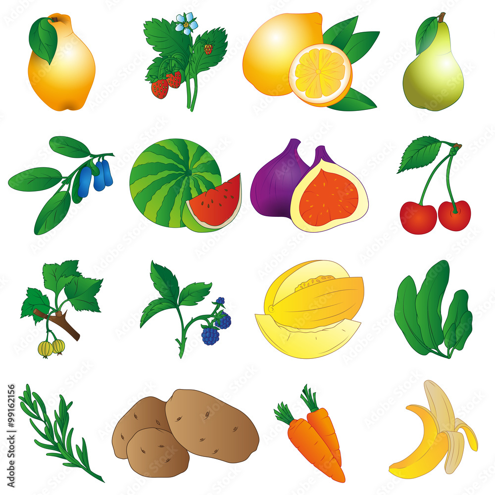 Fruits set Fruits set