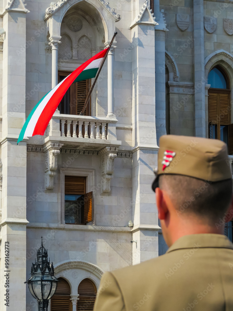 The Hungarian soldier standing on a check-post The Hungarian soldier standing on a check-post