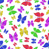 pattern of butterfly