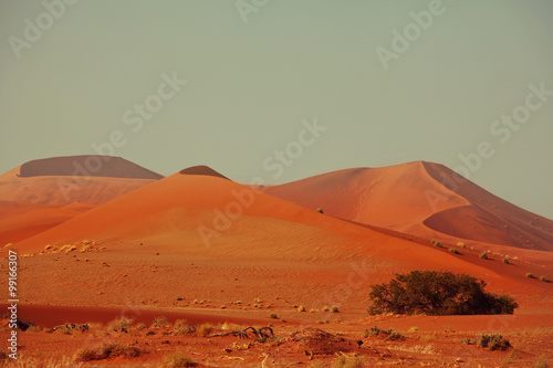 Namib