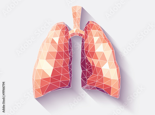 Lungs faceted